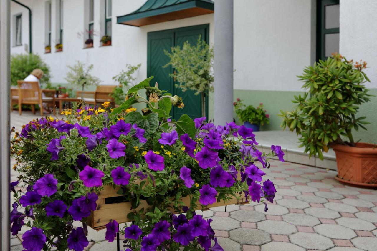 Weingut Apartment Hildegard Gangl Illmitz Exterior foto
